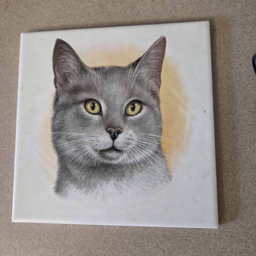 Gray Cat Illustration Ceramic Tile